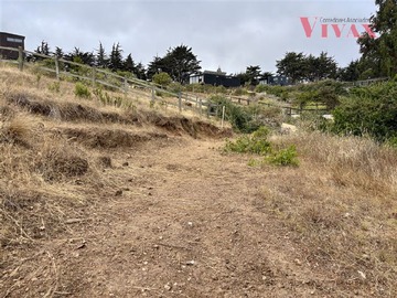 Imagen 8