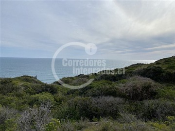 Imagen 11
