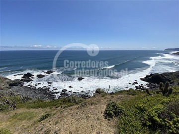 Imagen 7