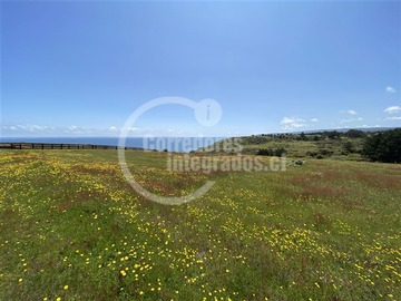 Venta / Sitio / Pichilemu