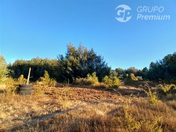 Venta / Sitio / Pinto