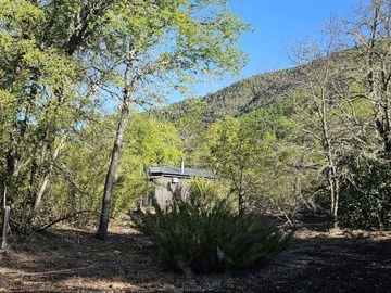 Imagen 11