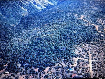 Imagen 6