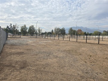 Imagen 5