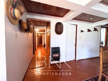 Imagen 15