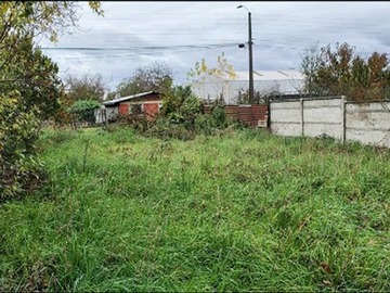 Venta / Sitio / Pitrufquén