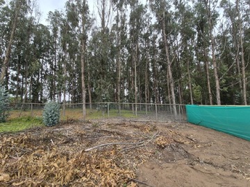 Imagen 5
