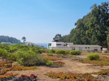 Venta / Sitio / Puchuncaví