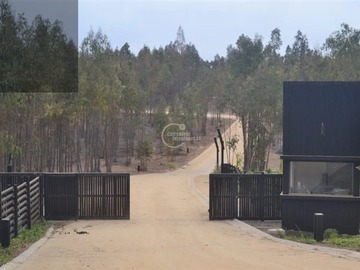 Imagen 11