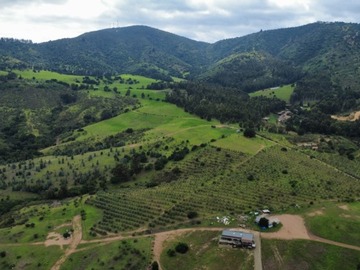 Imagen 5