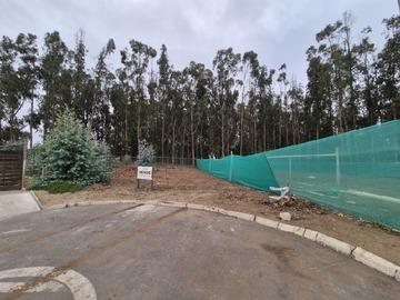 Imagen 6