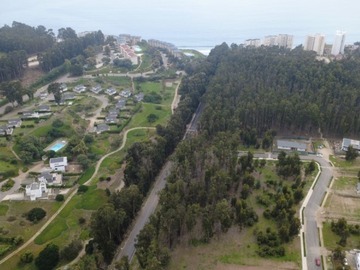 Imagen 6