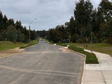 Imagen 8
