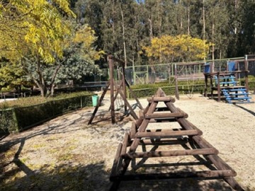 Imagen 7
