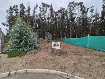 Venta / Sitio / Puchuncaví