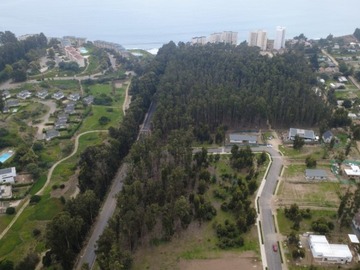 Imagen 5