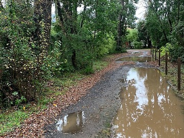 Venta / Sitio / Pucón