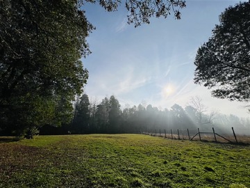 Venta / Sitio / Pucón