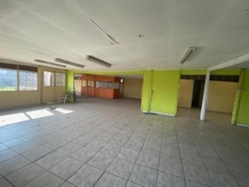 Imagen 5