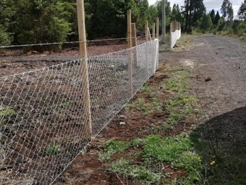 Imagen 8