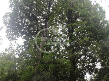 Imagen 11