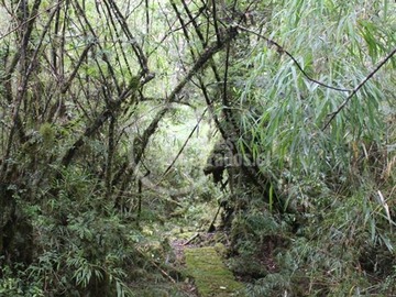 Imagen 9