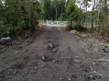 Imagen 7