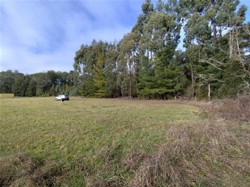 Venta / Sitio / Puerto Octay