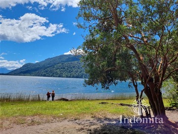 Imagen 4