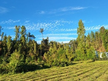 Venta / Sitio / Puerto Varas