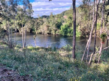 Venta / Sitio / Puerto Varas