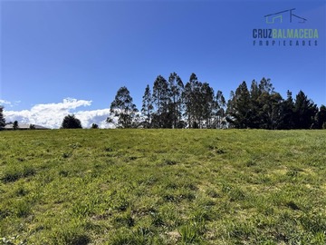 Imagen 11