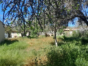 Venta / Sitio / Punitaqui