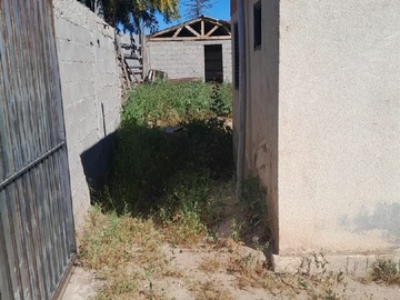 Imagen 5