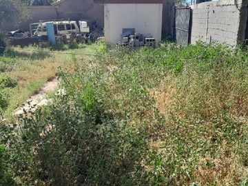 Imagen 8