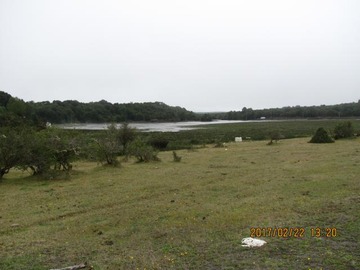 Imagen 6