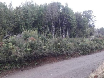 Venta / Sitio / Quellón