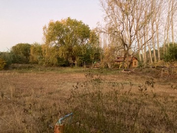 Imagen 10