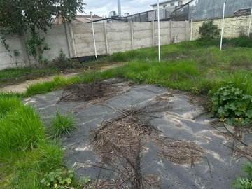 Imagen 7