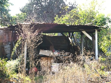 Imagen 15