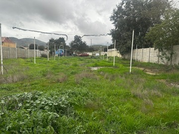 Venta / Sitio / Quillota