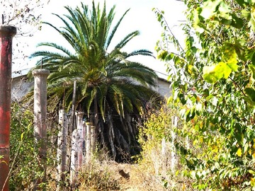 Imagen 14