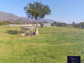 Imagen 11