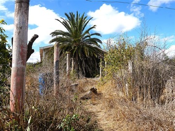 Imagen 31