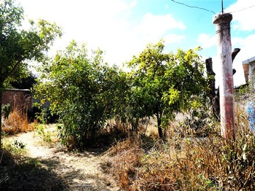 Imagen 17