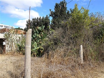 Imagen 29
