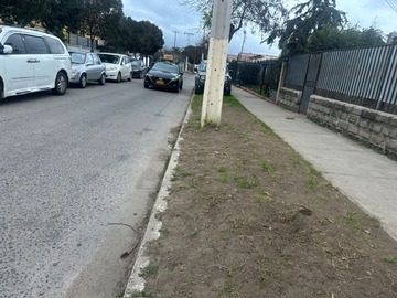Imagen 16
