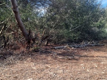 Imagen 8
