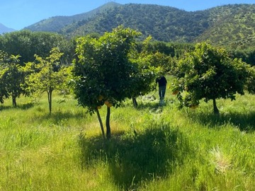 Venta / Sitio / Quilpué