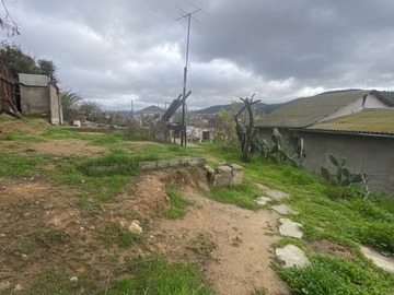Imagen 6